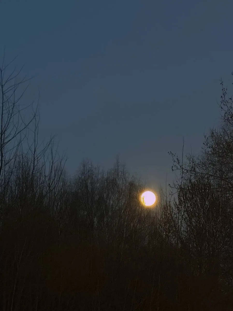 Полная луна