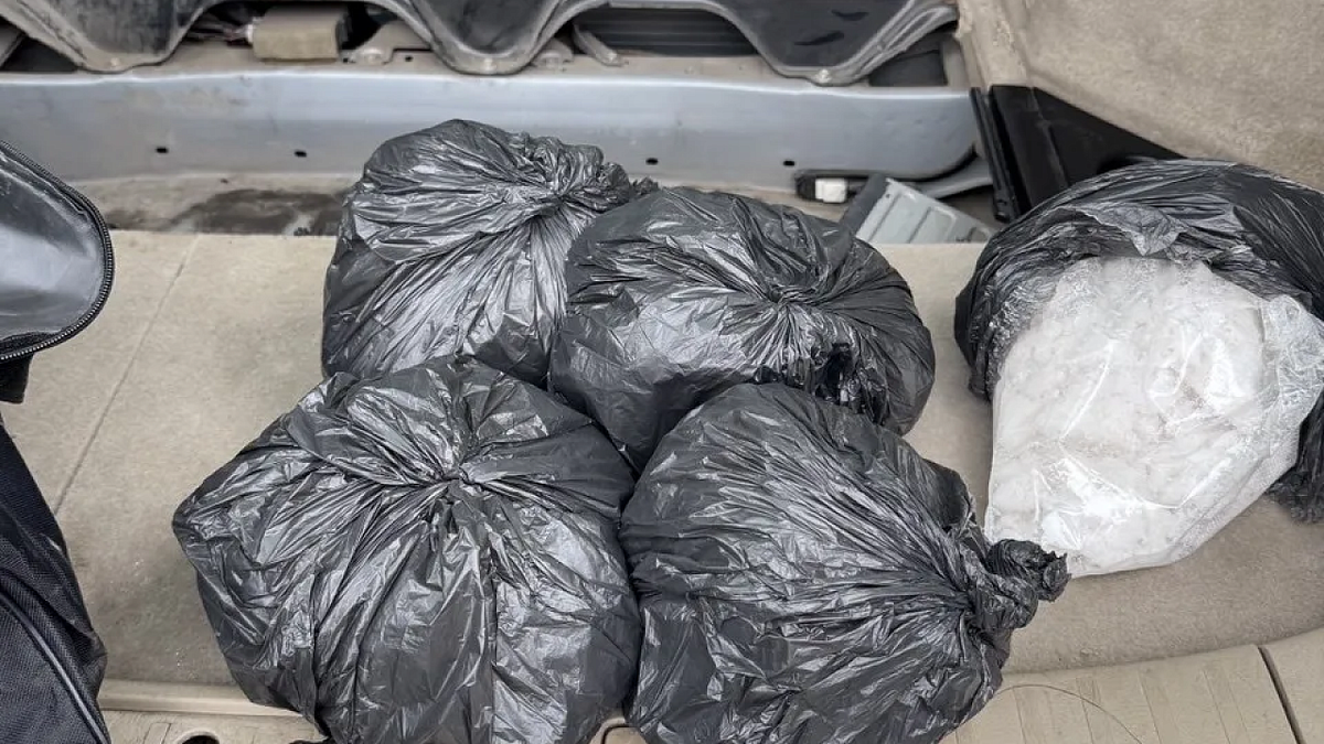    Фото: пресс-служба УФСБ по Краснодарскому краю