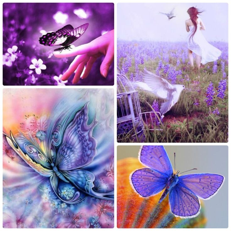 символы 16- лунных суток