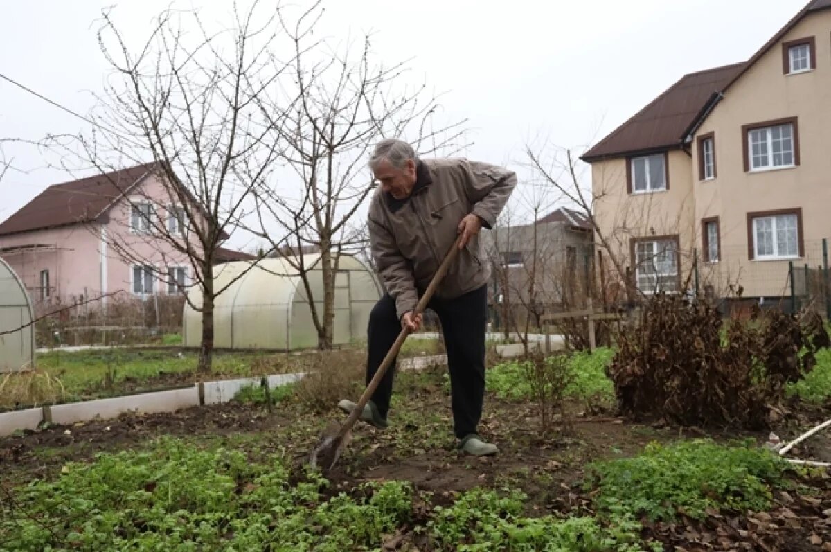    Дачный сезон в Ульяновске стартует 15 апреля