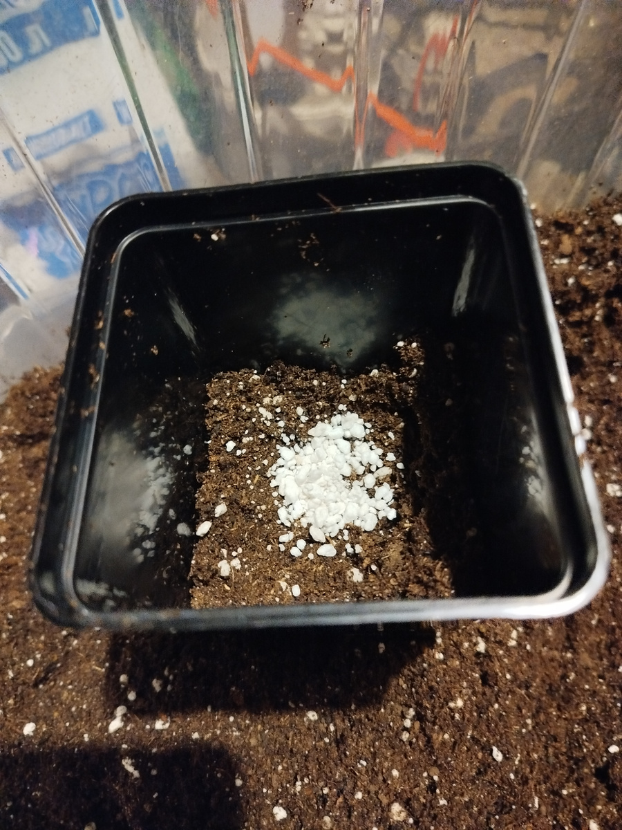 Буквально, чайная ложка без горки.