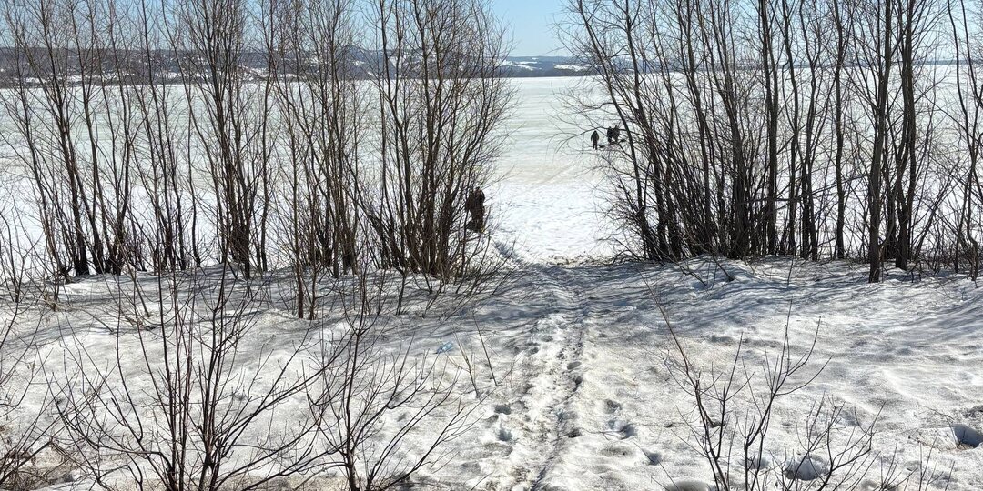 Стихотворение дня