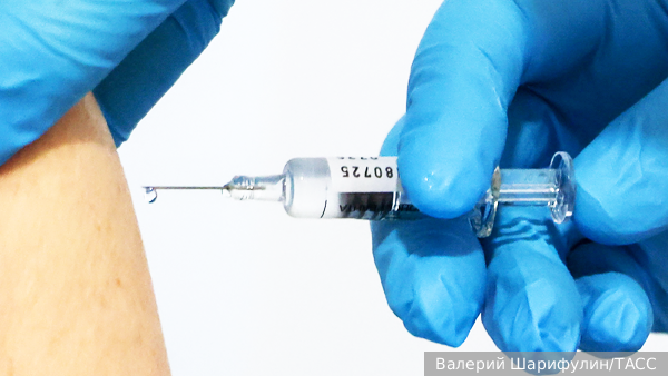     Фото: Валерий Шарифулин/ТАСС   
 Текст: Валерия Городецкая