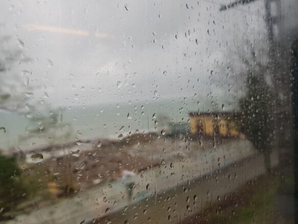    Фото: Элина Болдырева / Югополис