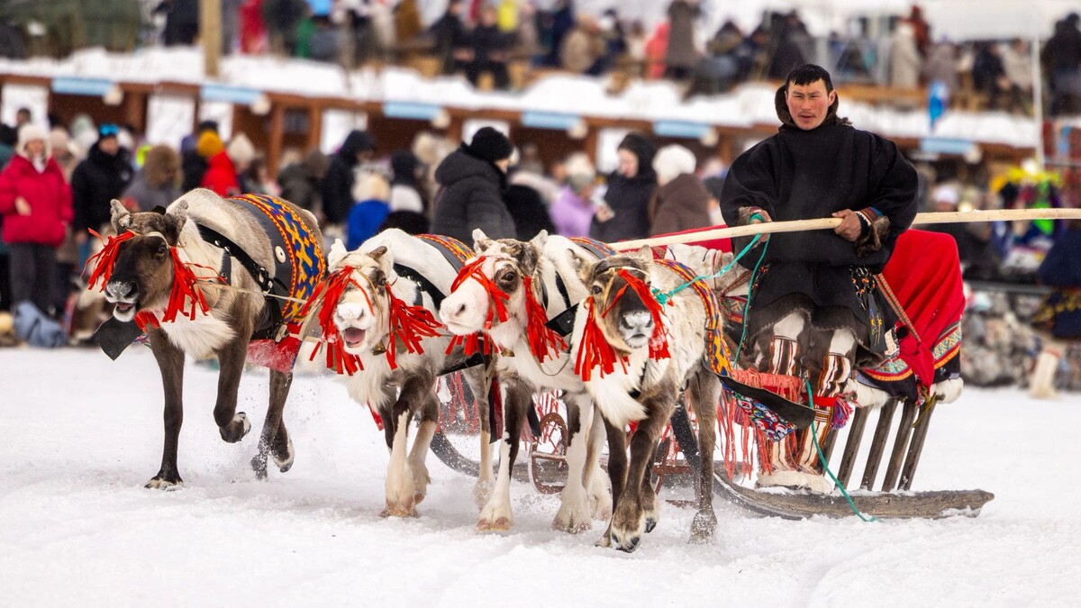    Фото: Федор Воронов / «Ямал-Медиа»