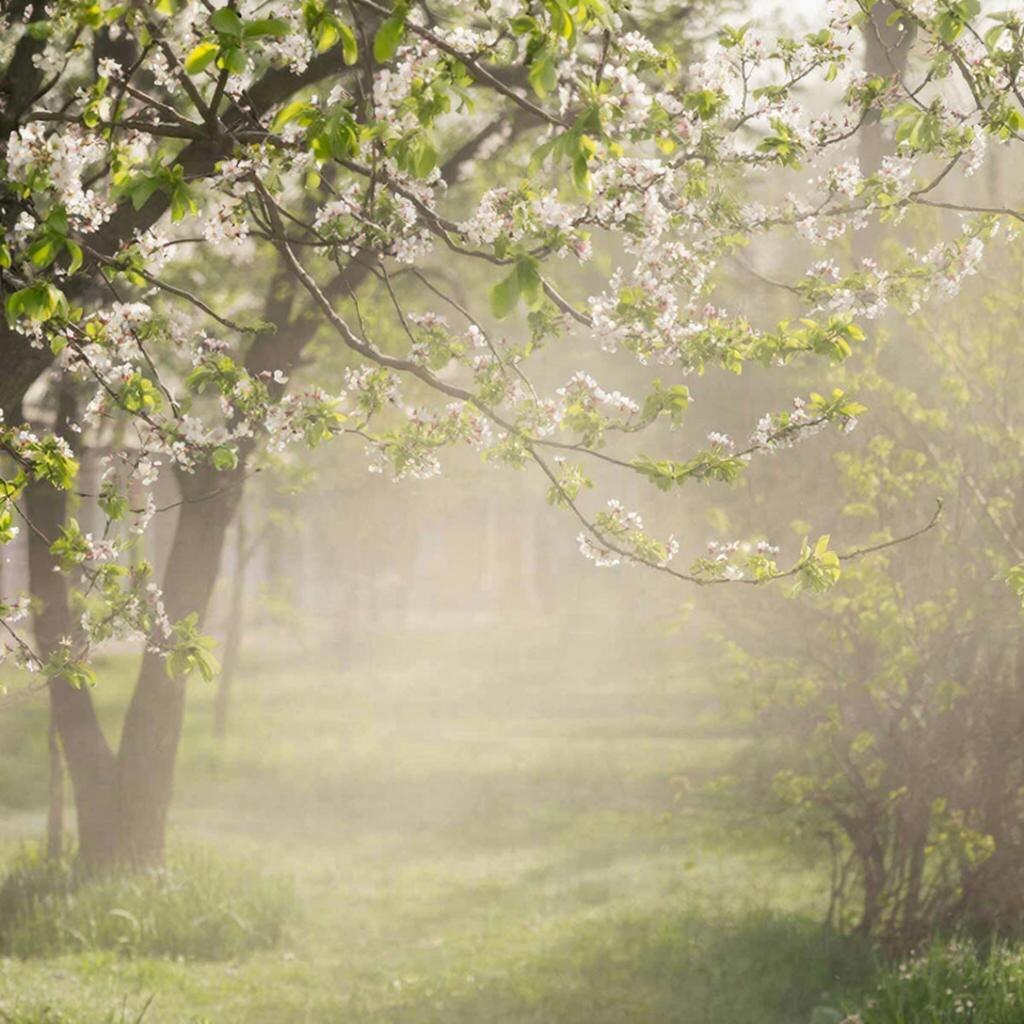 промт  ии  автора  