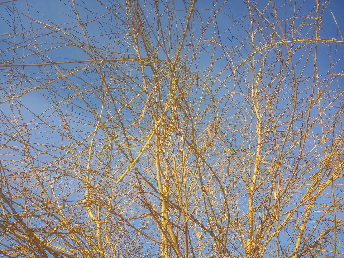 Фото 30 марта 2026