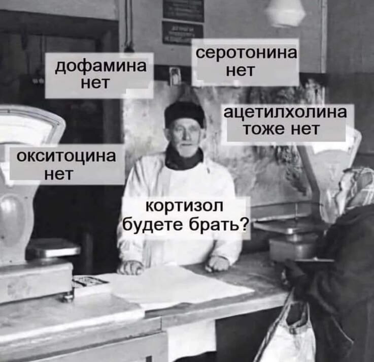 Мем с просторов сети интернет.