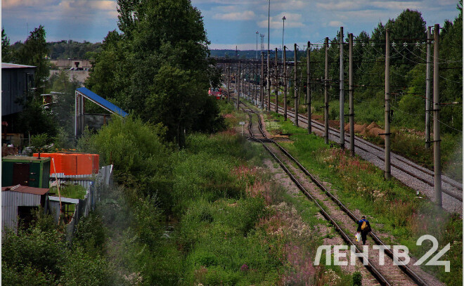    © Анастасия Илюшина / ЛенТВ24, архивное фото