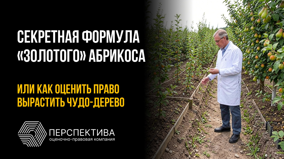 Как оценить стоимость исключительных прав на селекционные достижения