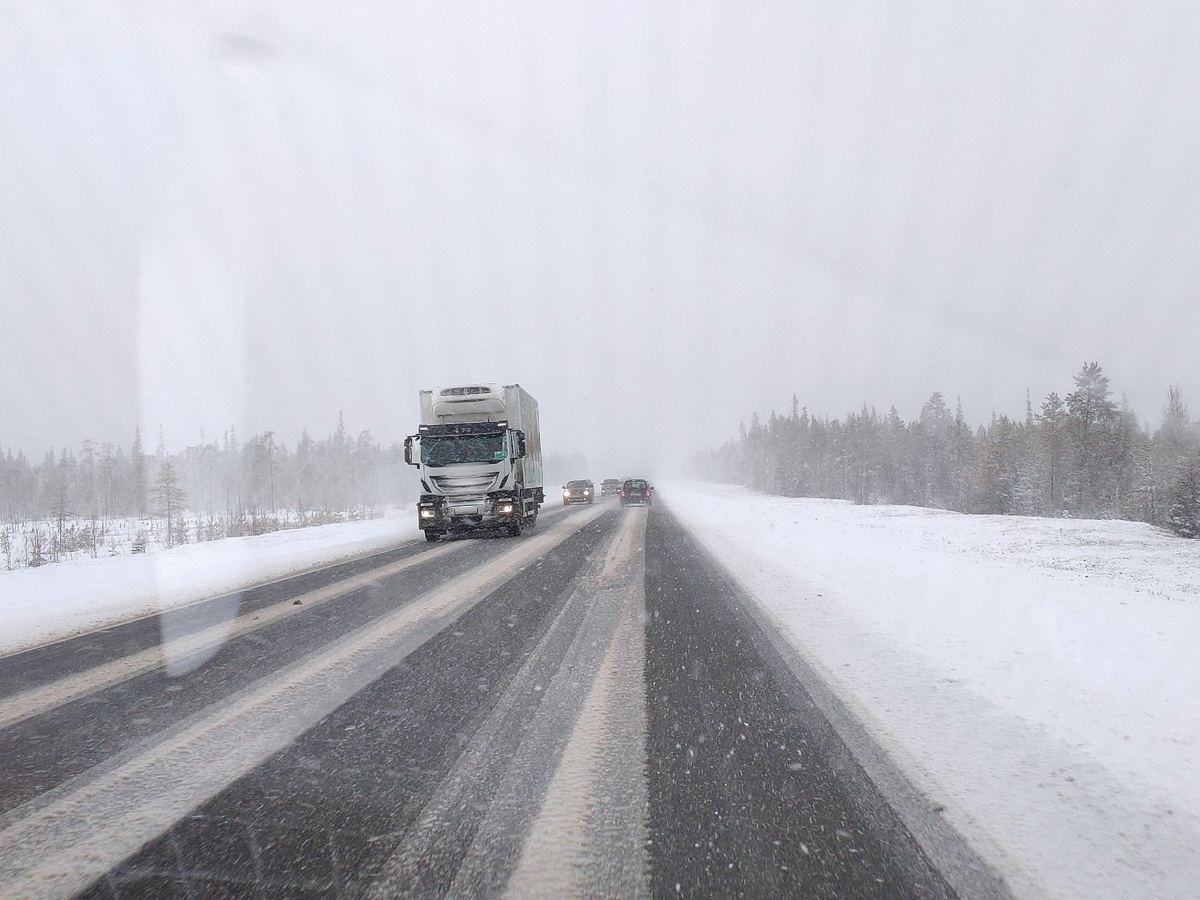    фото: © Столица на Онего