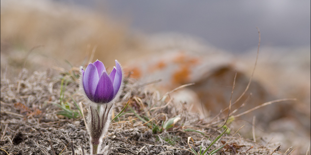 Едем в Крым, и сразу в горы!