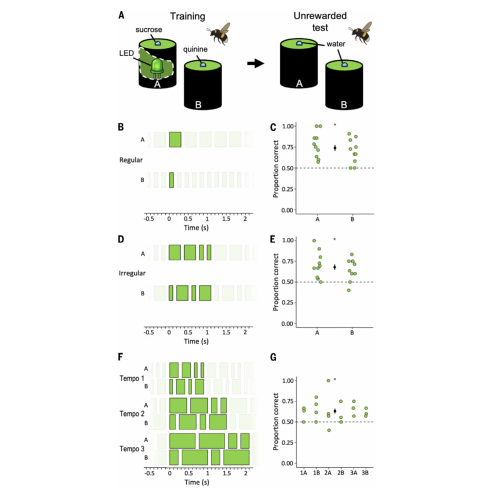   Zijie Zeng et al. / Science, 2026