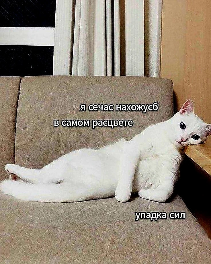 Источник фото найден на просторах Интернета в открытом доступе