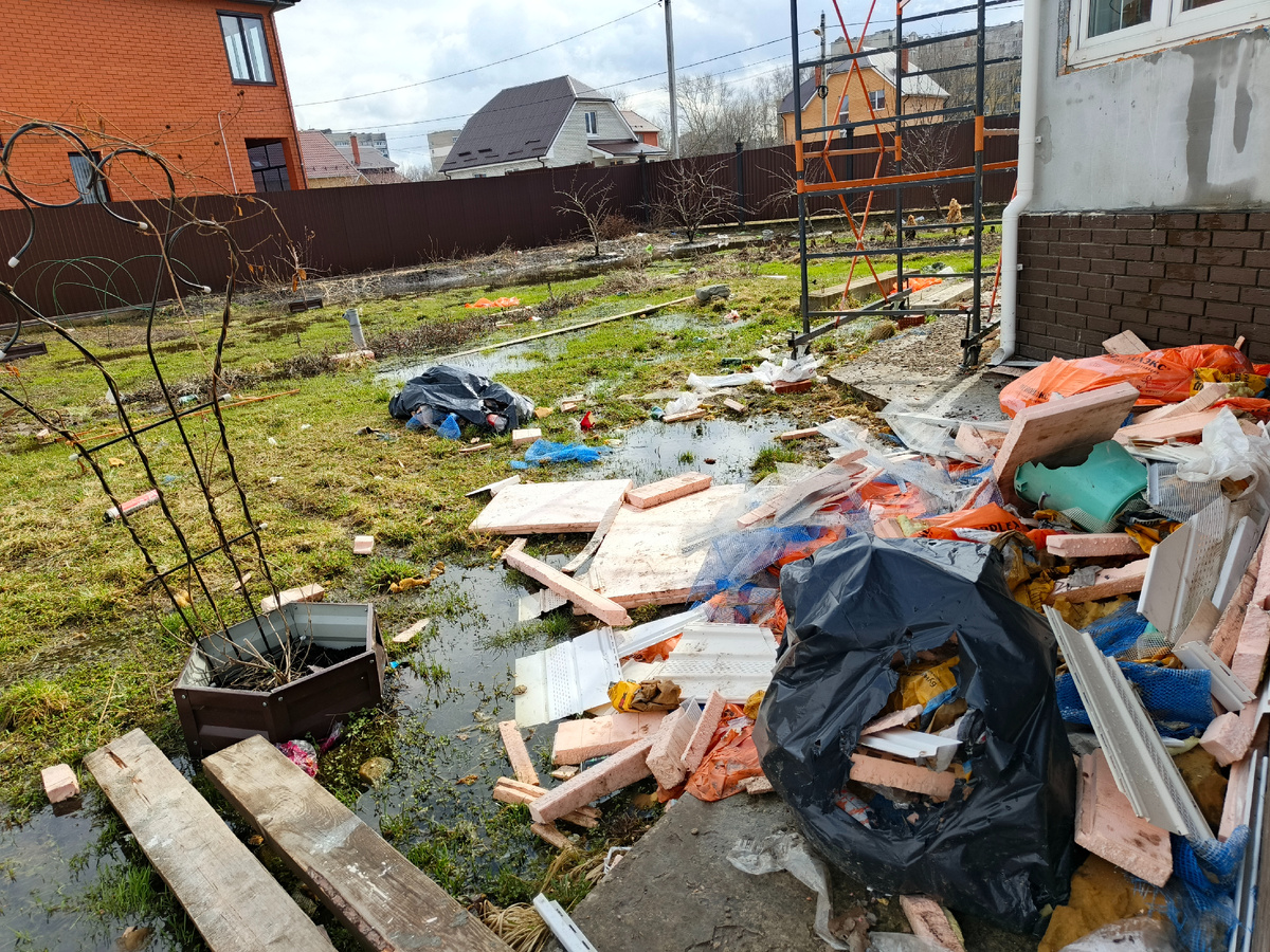 Комментарии излишни. Фото автора