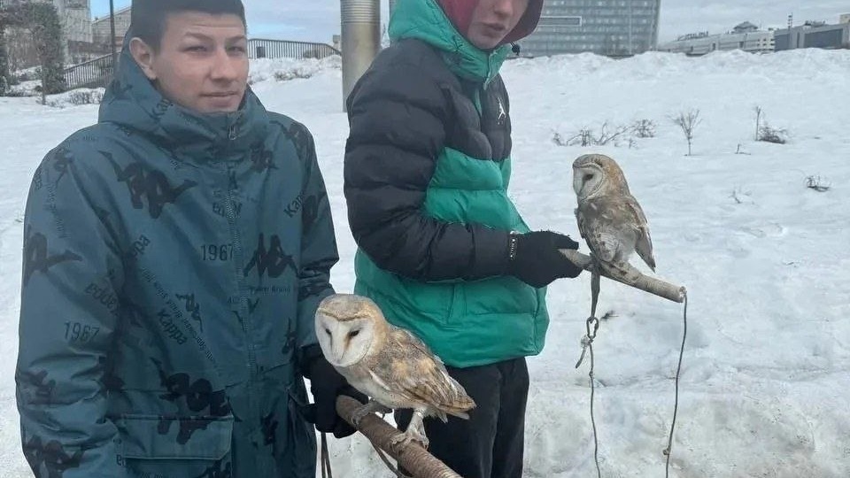 Не фотографируйтесь с птицами или животными! Не поощряйте этих "бизнесменов