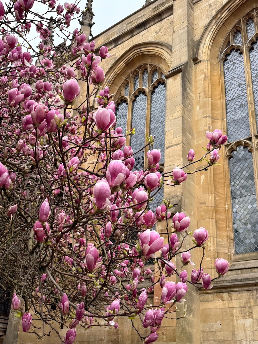 Вдохновение пейзажами
