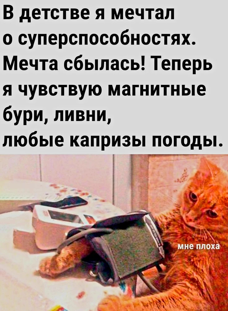 Источник фото найден на просторах Интернета в открытом доступе