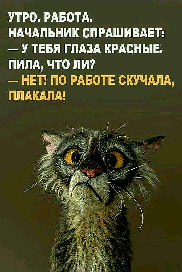 Источник фото найден на просторах Интернета в открытом доступе