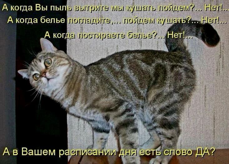 Источник фото найден на просторах Интернета в открытом доступе