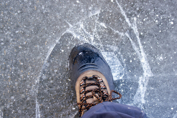 Vitalliy/Shutterstock/FOTODOM   📷