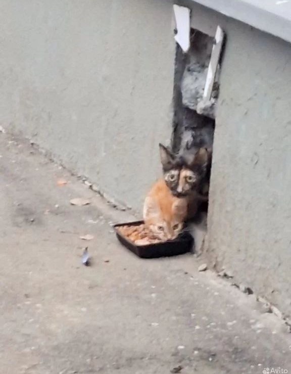 Это я с одним из своих детёнышей