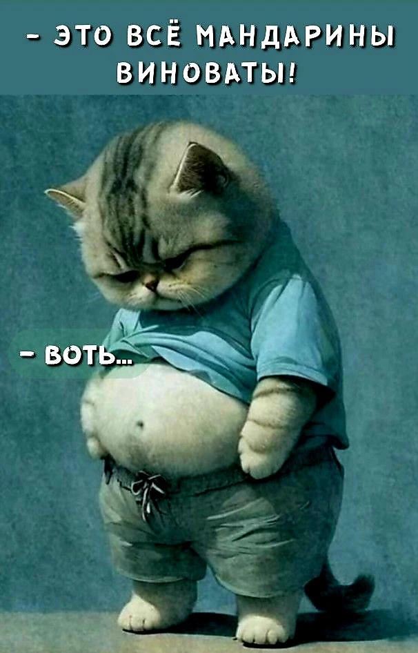 Источник фото найден на просторах Интернета в открытом доступе