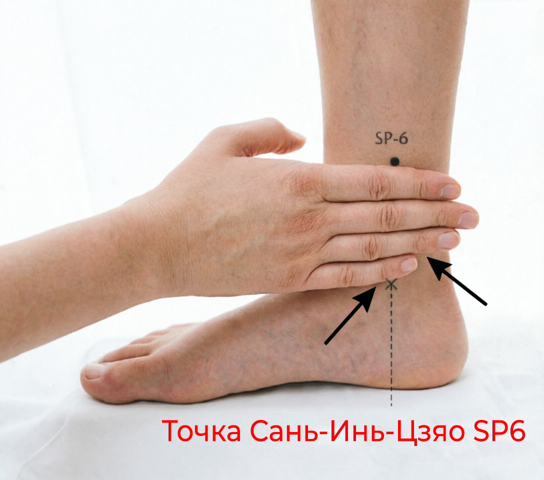 Схема точки Сань-Инь-Цзяо SP6 на ноге — ЗОЖ упражнения для похудения и здоровья.