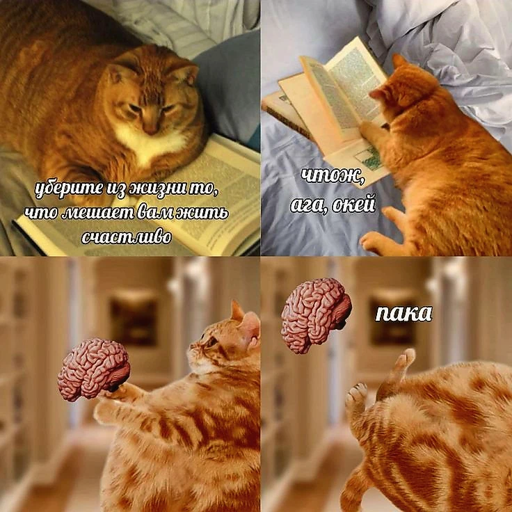 Источник фото найден на просторах Интернета в открытом доступе