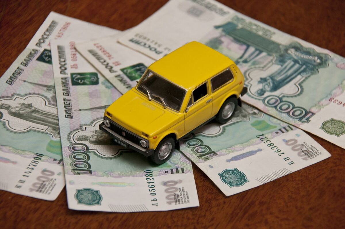    Фото: Александр Зинченко