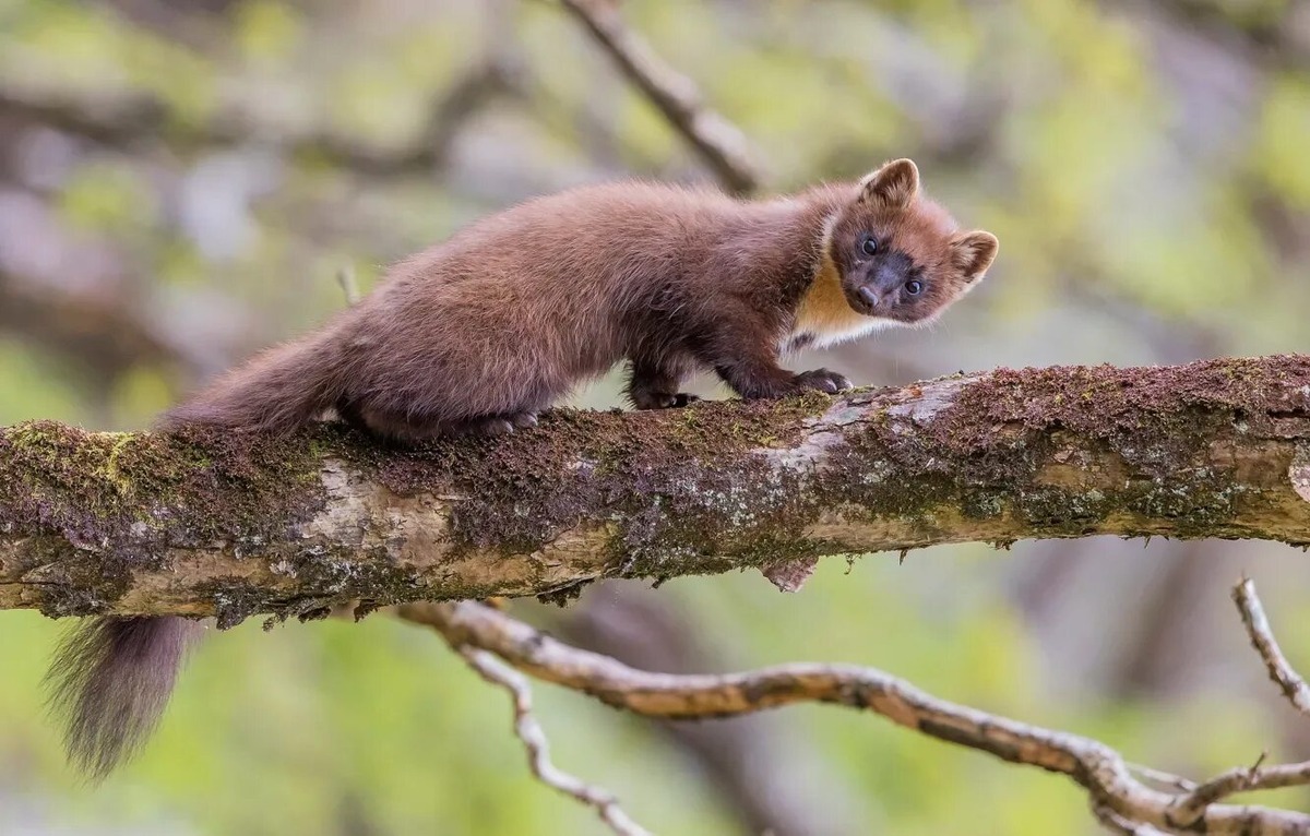 Кто чем занят? Я пошла искать вкусняшки!!!