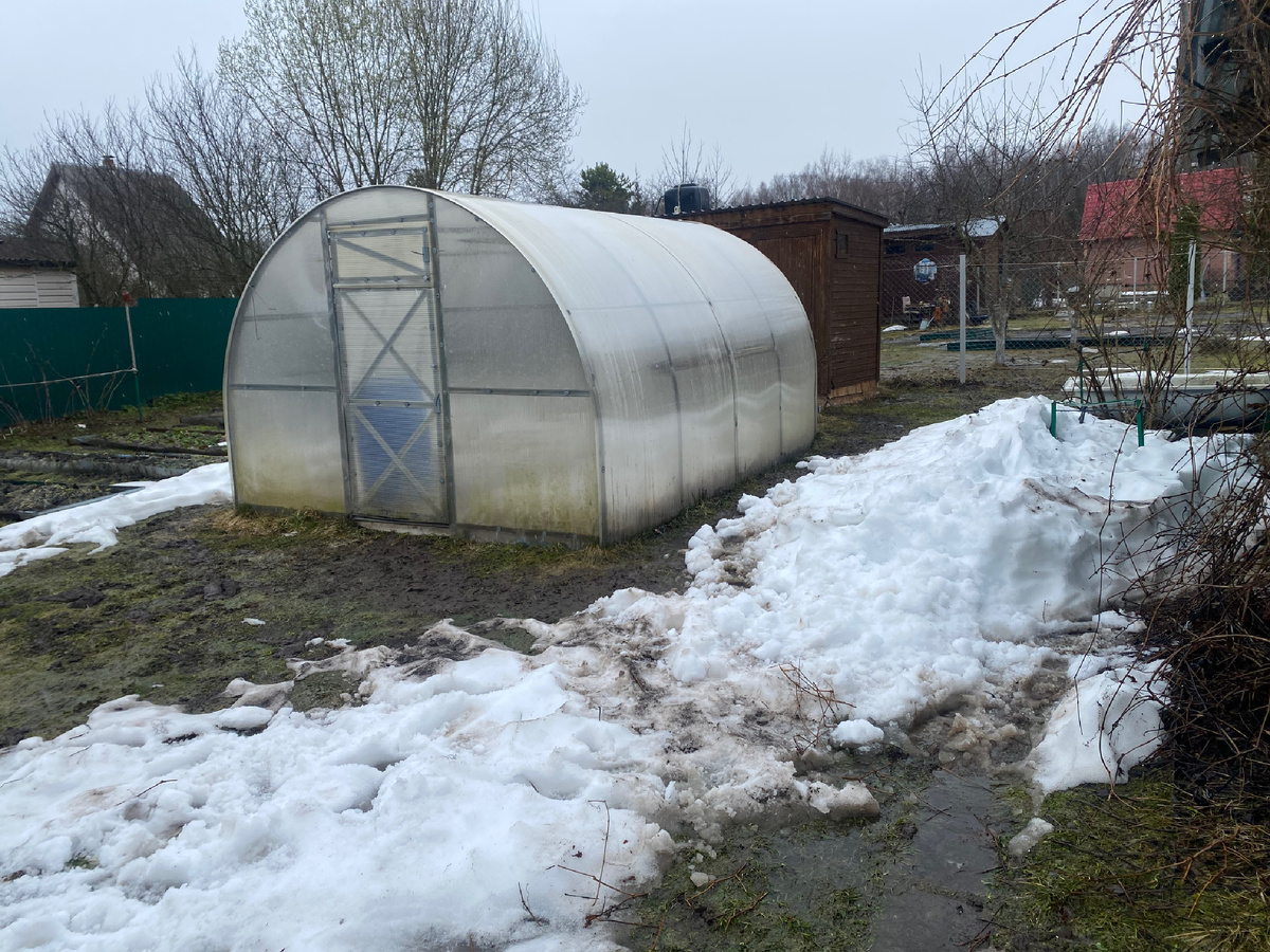 Моя теплица