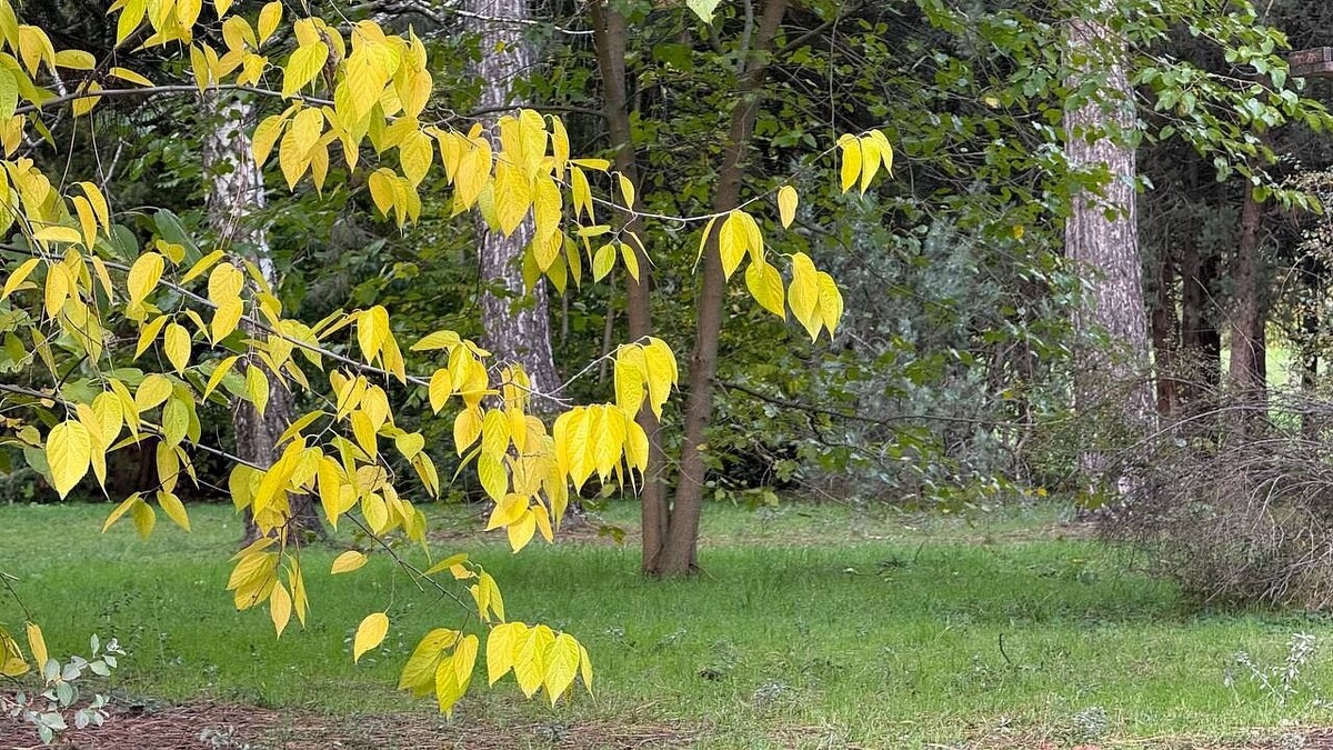    Фото: телеканал «Краснодар»