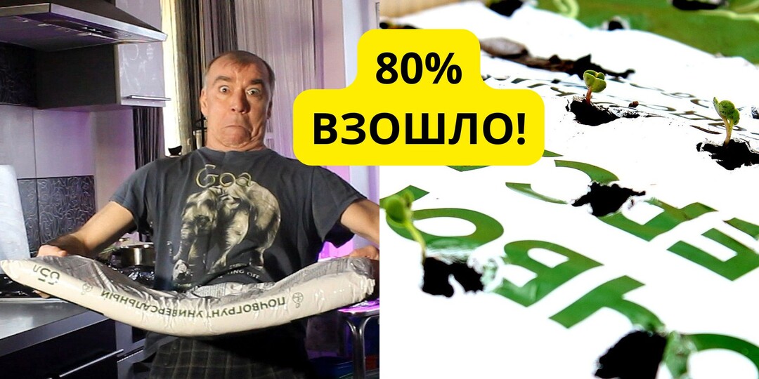 🌱 «Редис в дырочки»: Необычный способ в мешках, который дал 80% всходов на 4-й день