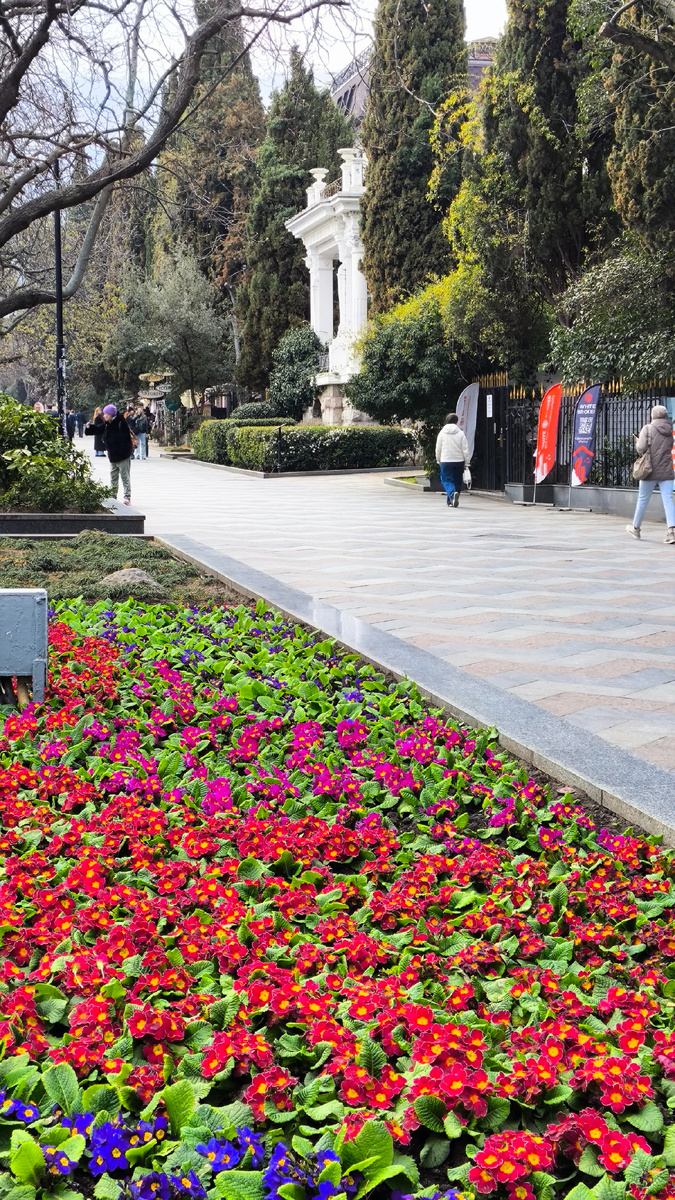 Ялта. Улица Пушкинская