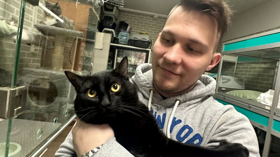 Красавчик Чарли 😍 тоже нашел себе друга