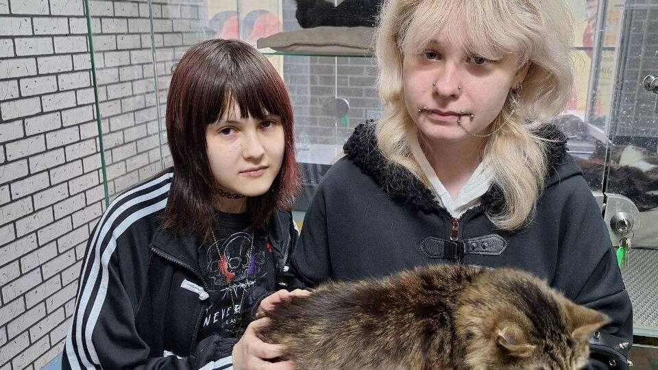 Пушистая ласковая девочка Маруся тоже дома 😍🫶🥰, и о ней заботятся и мама и бабушка и дочка