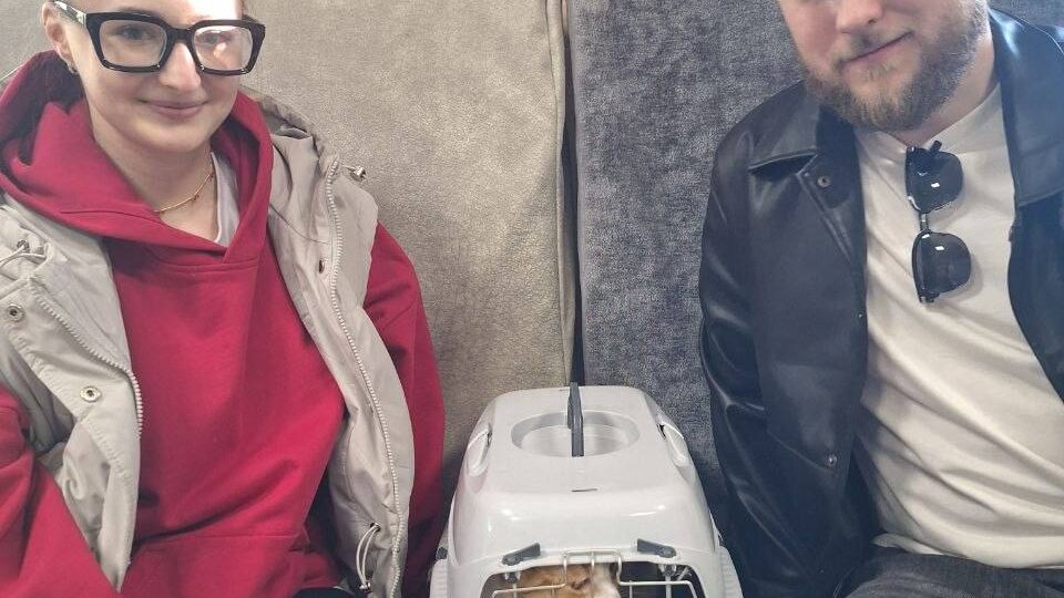 Наш чудесный спортсмен Кирюша 😍 тоже стал домашним любимкой 🥰🫶, поехал домой к новой подружке