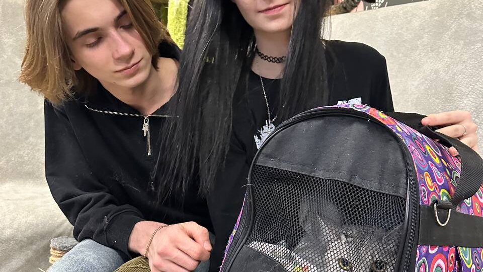 Доротея/Аврора увидела свою мамочку , замерла и стояла ждала переноску