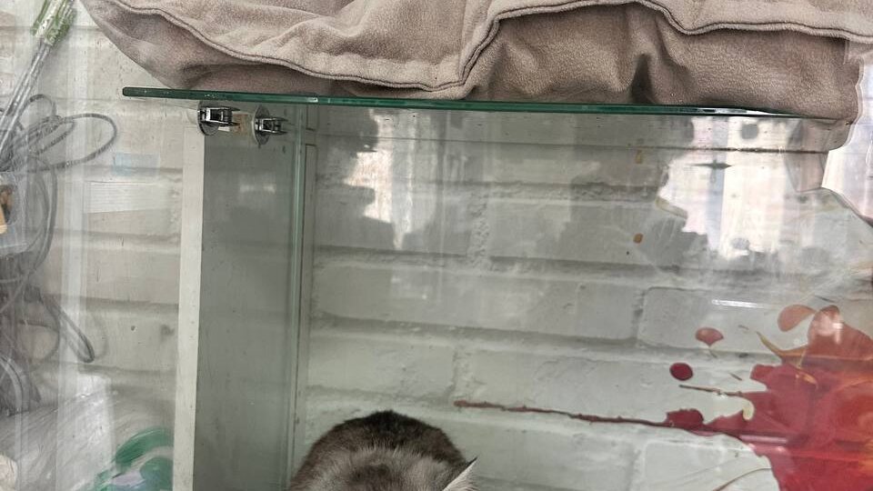 Братиков мы уже показывали