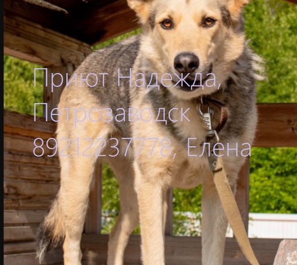 💓 ЛАДЕ ОЧЕНЬ НУЖНА СЕМЬЯ 💓