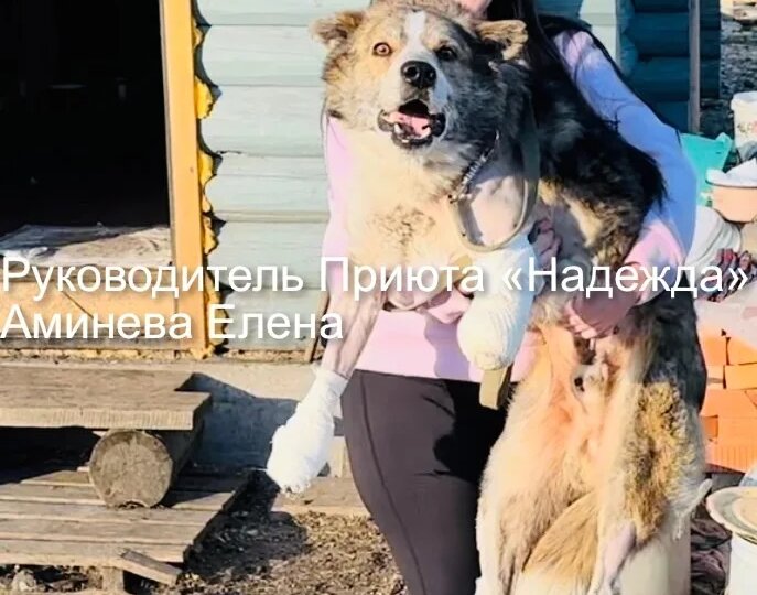 Вы знаете, ребята, ведь это вы – самые главные люди в жизни нашего Приюта! ❤️