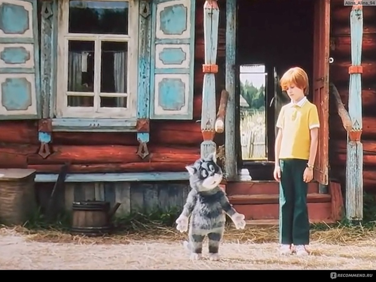 Яндекс картинки 