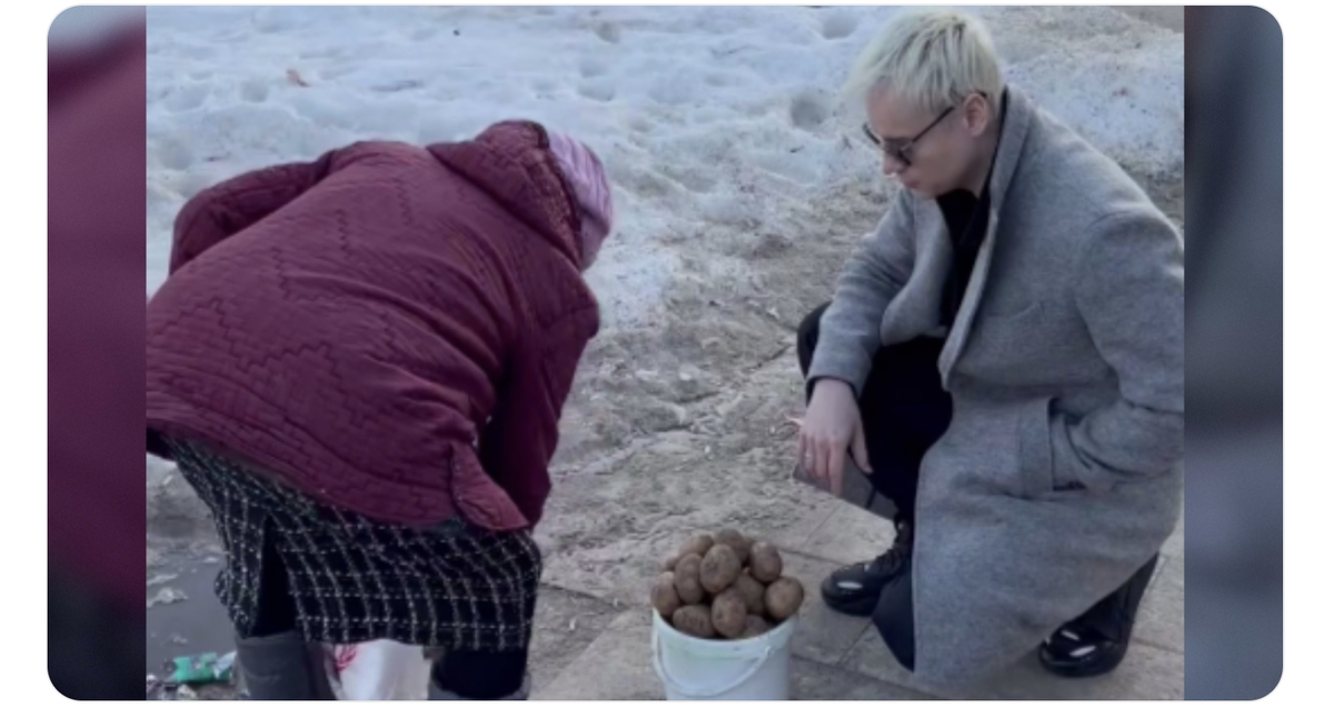 источник  тг-канал SHAMAN