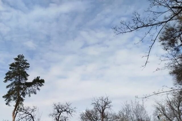    16 белгородцев, включая ребёнка, ранены от атак ВСУ 2 апреля: что известно?