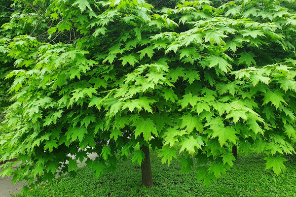 Shutterstock/FOTODOM   📷