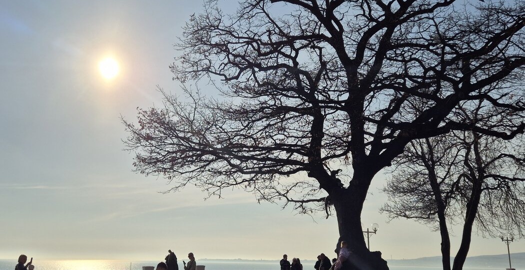 «До терапии не было жизни»