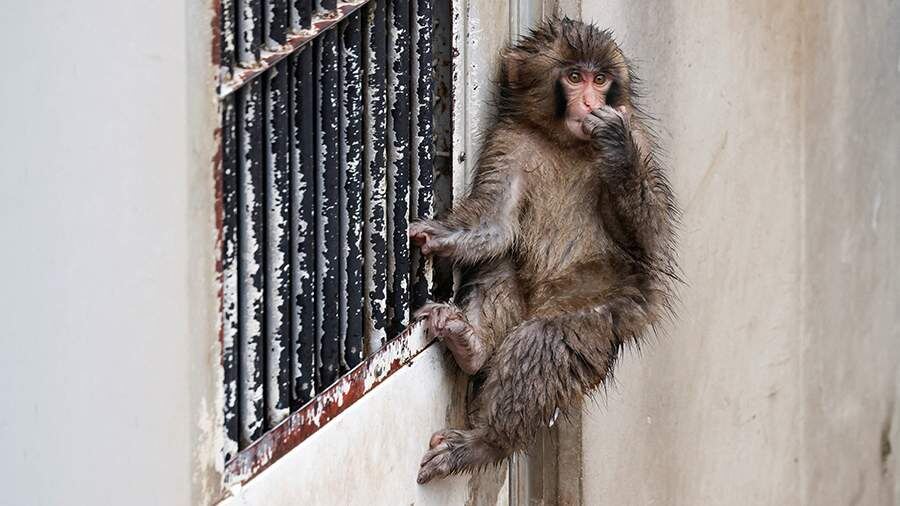    Фото: REUTERS/Manami Yamada