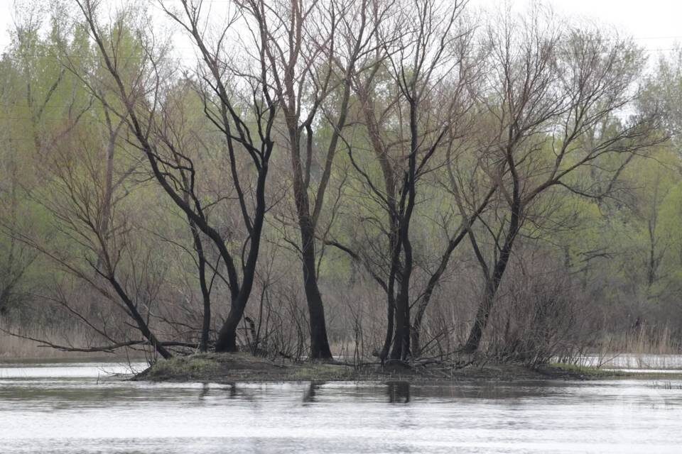    Фото: Дмитрий Рогулин / "Городские вести"