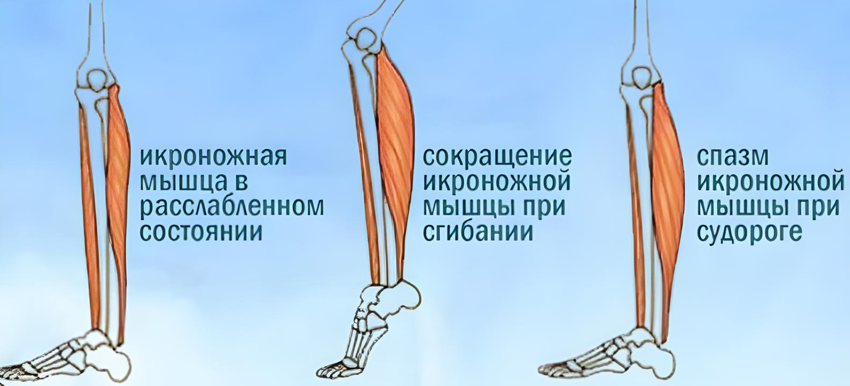 фото из открытого источника